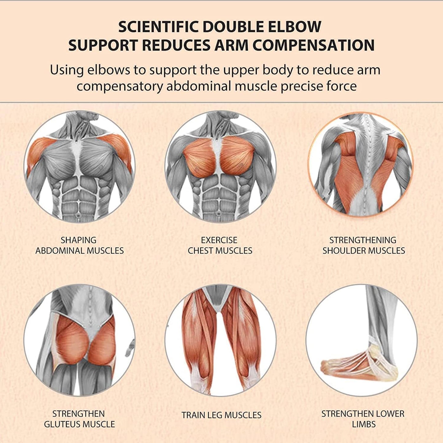💥 Rodillo Abdominal con Rebote Automático – Control, Estabilidad y Resultados Visibles